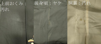 平和屋着物■訪問着 総刺繍 花松文 黒地 金糸 正絹 逸品 CABF5764oy