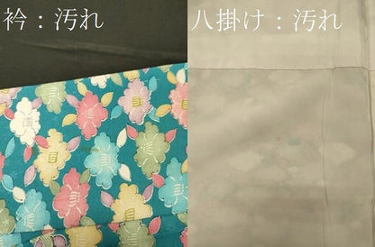 平和屋着物■上質な小紋 舞花文 正絹 逸品 CABF5786oy
