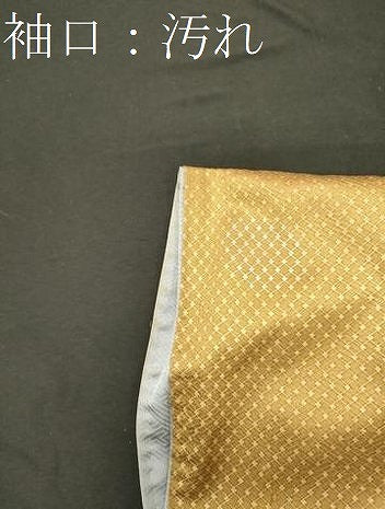 平和屋着物■訪問着 エ霞松文 藤花房 暈し染め 金彩 正絹 逸品 CABF5813oy