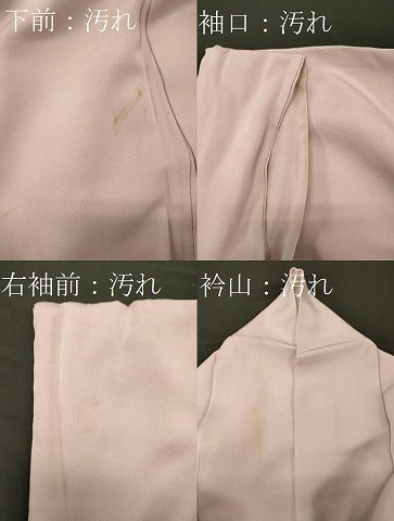 平和屋着物■豪華色留袖 京の煌 寿光織 金糸 正絹 逸品 CABF5826oy