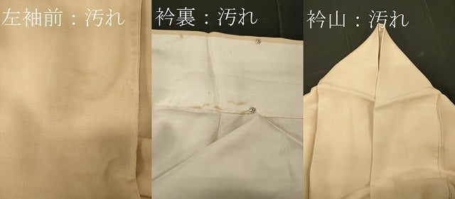 平和屋着物■豪華色留袖 桧扇立波松文 金彩 正絹 逸品 CABF5832oy