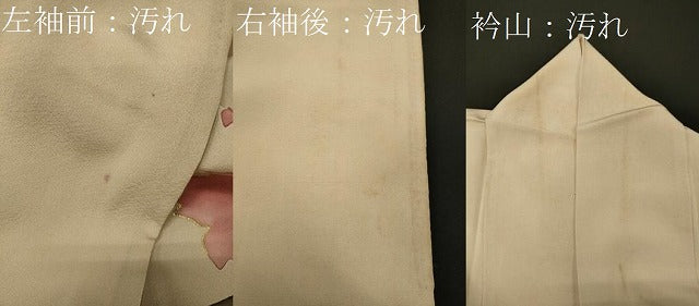 平和屋着物■訪問着　手描き　草花文　金彩　正絹　逸品　CABF5962oy
