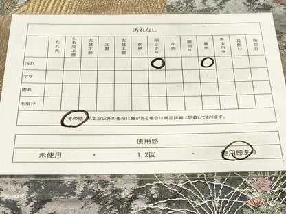平和屋着物◎六通柄袋帯　唐織　満月光　金銀糸　引箔　正絹　逸品　CABF6059dy
