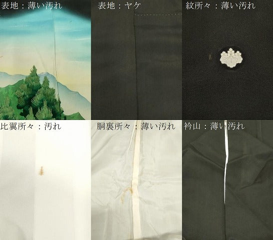 平和屋着物■豪華黒留袖 遠山樹林文 暈し染め 正絹 逸品 CABF6141dy