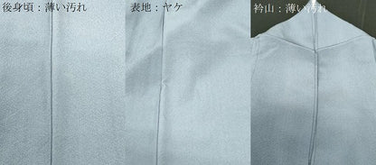 平和屋着物■豪華色留袖　草花文　暈し染め　正絹　逸品　CABF6156dy