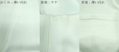 平和屋着物■色留訪問着 寿光織 人物文 金銀糸 正絹 逸品 CABF6228dy