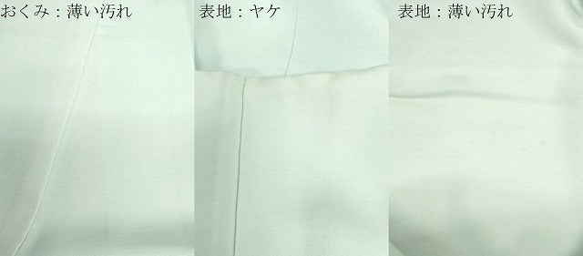 平和屋着物■色留訪問着 寿光織 人物文 金銀糸 正絹 逸品 CABF6228dy