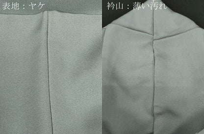平和屋着物■豪華色留袖 寿光織 風景文 金糸 正絹 逸品 CABF6229dy
