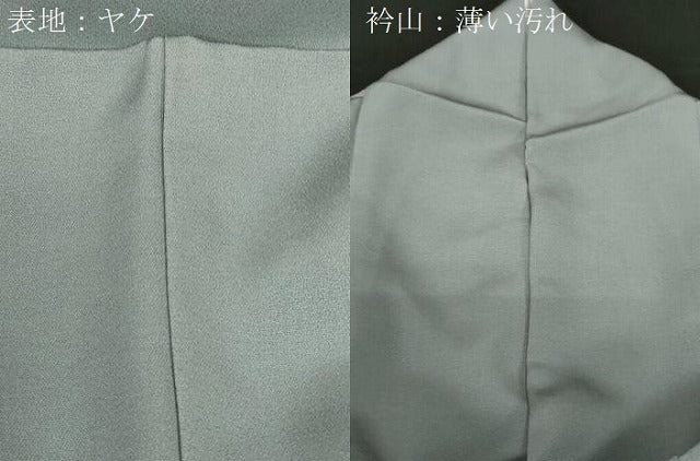 平和屋着物■豪華色留袖 寿光織 風景文 金糸 正絹 逸品 CABF6229dy