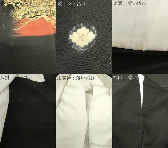 平和屋着物■豪華黒留袖　作家物　駒刺繍　枝松文　金彩　正絹　逸品　CABF6230dy
