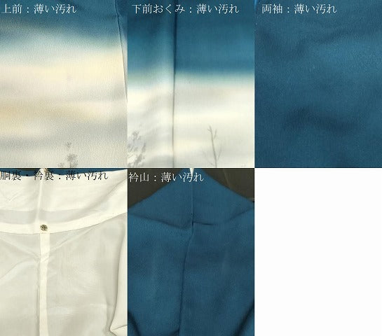 平和屋着物■訪問着　風景文　暈し染め　金彩　正絹　逸品　CABF6232dy