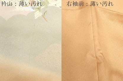 平和屋着物■訪問着 刺繍 草花文 銀彩 正絹 逸品 CABF6245dy