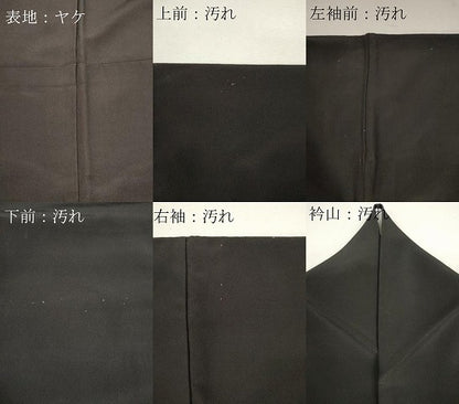 平和屋着物■黒留袖 尾長鳥花文 金彩 ロング丈 洗える着物 CABF6467ou