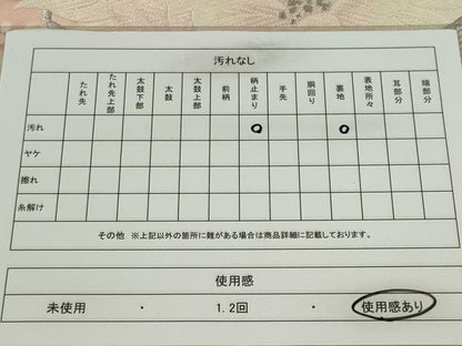 平和屋着物◎六通柄袋帯　唐織　草花文　銀糸　正絹　逸品　CABF6555ou