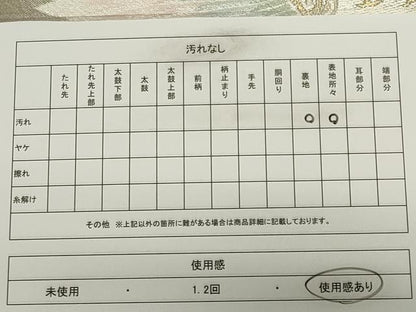 平和屋着物◎六通柄袋帯　唐織　孔雀文　金銀糸　正絹　逸品　CABF6683ou
