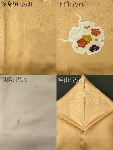 平和屋着物■訪問着 駒刺繍 雪輪花文 金彩 正絹 逸品 CABF6758ou