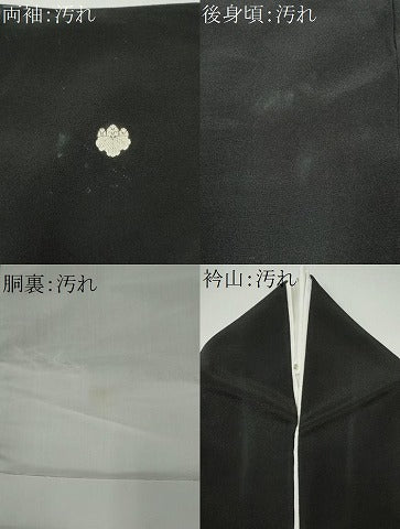 平和屋着物■豪華黒留袖　駒刺繍　孔雀松文　金彩　正絹　逸品　CABF6783ou