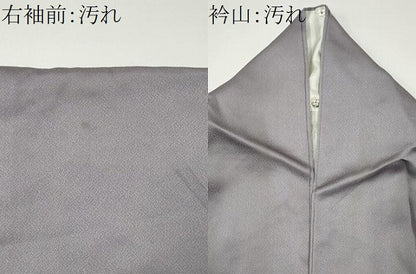 平和屋着物■豪華色留袖　風景文　暈し染め　銀彩　正絹　逸品　CABF6800ou