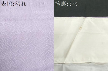 平和屋着物■上質な色無地　枝花地紋　白藤色　正絹　逸品　CABF6808fb