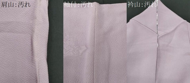 平和屋着物■無地絵羽訪問着 名所風景文 正絹 逸品 CABF6898fb