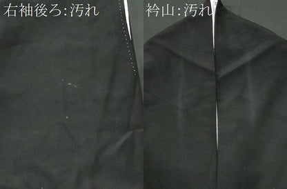 平和屋着物■黒留袖 エ霞飛鶴草花文 金銀彩 洗える着物 CABF6912fb