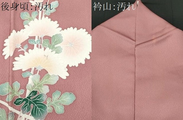 平和屋着物■訪問着　友禅　枝菊文　正絹　逸品　CABF6962fb