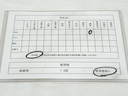 平和屋着物◎六通柄袋帯 ふくれ織 更紗花唐草文 金糸 正絹 逸品 CABF7090fb