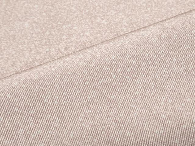 平和屋着物▽上質な小紋　単衣　霞文　正絹　逸品　CABF7734th