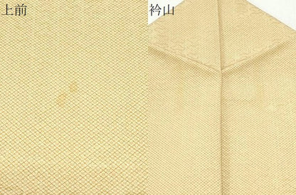 平和屋着物▽江戸小紋　単衣　菱花文　正絹　逸品　CABF7745th