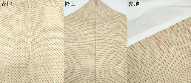平和屋着物▽塩沢紬　単衣　蚊絣　正絹　逸品　CABF7778th