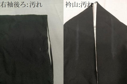 平和屋着物■豪華黒留袖 作家物 駒刺繍 飛鳥松花文 金彩 正絹 逸品 CABF8095xi