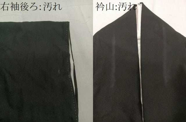平和屋着物■豪華黒留袖 作家物 駒刺繍 飛鳥松花文 金彩 正絹 逸品 CABF8095xi