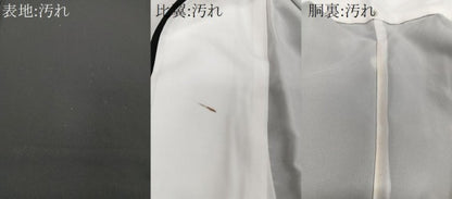 平和屋着物■豪華黒留袖　流水風景文　金彩　正絹　逸品　CABF8178xi