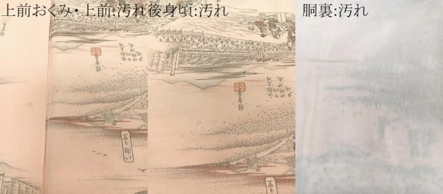 平和屋着物■上質な小紋 名勝風景文 金糸 正絹 逸品 CABF8229xi
