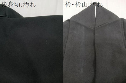 平和屋着物■訪問着 立波飛鳥船文 黒地 ロング丈 洗える着物 CABF8294xi