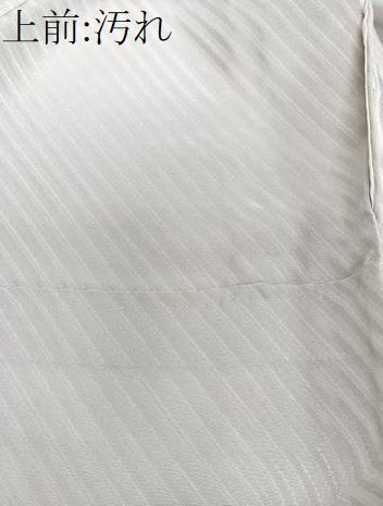 平和屋着物■訪問着 正倉院花文 金銀彩 正絹 逸品 CABF8342xi