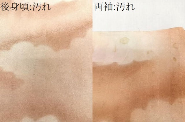平和屋着物■上質な小紋　雲取り文　暈し染め　正絹　逸品　CABF8378xi