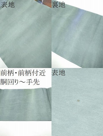 平和屋着物●虹色創家　本郷大田子　塩瀬　九寸名古屋帯　枝霞文　正絹　逸品　CABF8788hy