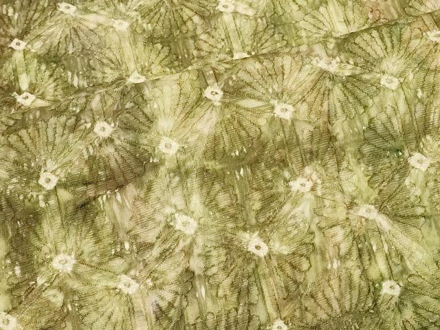 平和屋着物＃羽織　亀甲つなぎ　暈し染め　正絹　逸品　CABF8987in