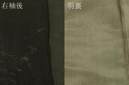 平和屋着物＃羽織　寿光織　樹林文　黒地　金銀糸　正絹　逸品　CABF9052in