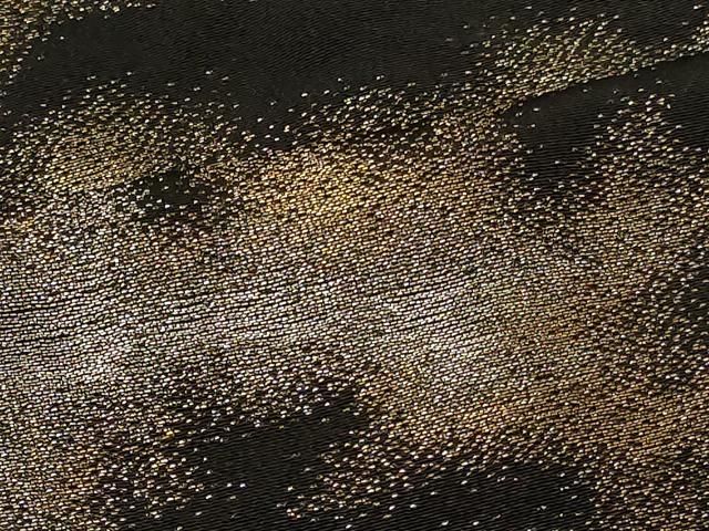 平和屋着物＃羽織　寿光織　霞文　黒地　金銀糸　正絹　逸品　CABF9096in