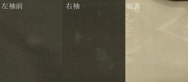 平和屋着物＃羽織　総刺繍　枝花文　黒地　正絹　逸品　CABF9134in
