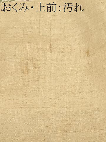平和屋着物■上質な紬　エ霞菊文　正絹　逸品　CABF9244ev