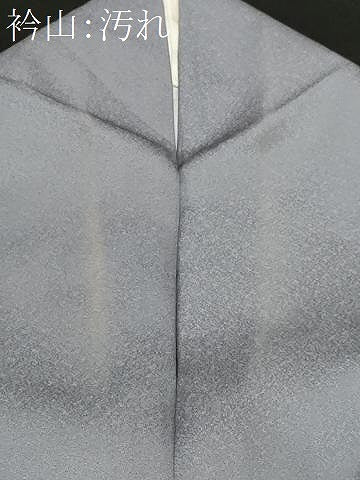 平和屋着物■豪華色留袖　立波花鳥文　暈し染め　金彩　正絹　逸品　CABF9279ev