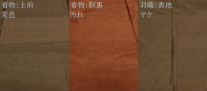 平和屋着物■男性　紬　憲法色　アンサンブル　正絹　逸品　CABF9459ev