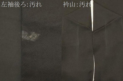 平和屋着物■豪華黒留袖　駒刺繍　籬枝梅文　暈し染め　金彩　正絹　逸品　CABF9511ev
