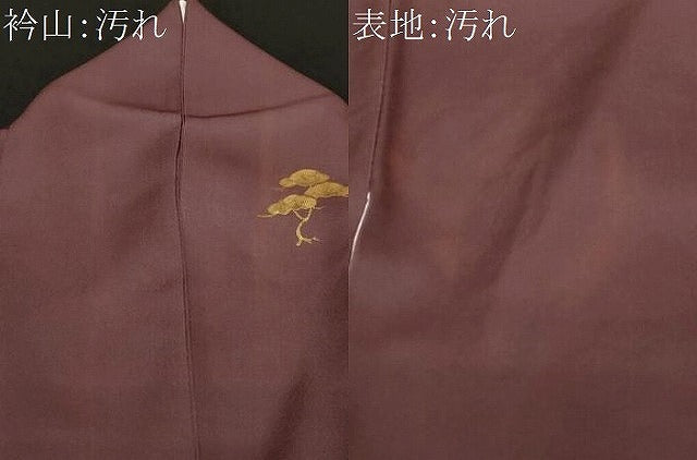 平和屋着物■訪問着 刺繍 枝松文 金彩 正絹 逸品 CABF9550ev