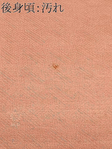 平和屋着物■中国三大刺繍　スワトウ刺繍　訪問着　辻が花　暈し染め　銀彩　正絹　逸品　CABF9556ev