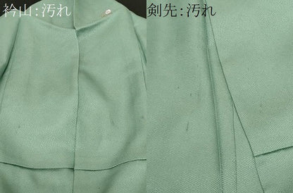 平和屋着物■上質な小紋　舞花文　金彩　正絹　逸品　CABF9573ev