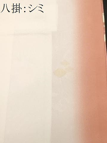 平和屋着物■訪問着　地紙枝花文　金銀彩　正絹　逸品　未使用　CABF9605ev